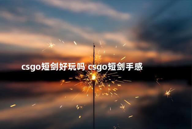 csgo短剑好玩吗 csgo短剑手感好吗